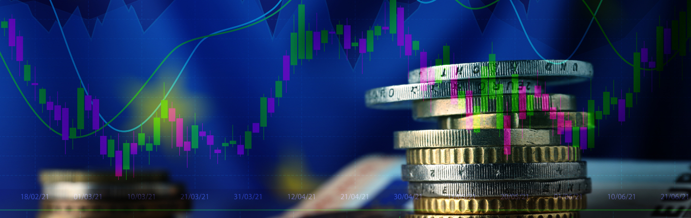 Tefas Platformu Nedir ve Nasıl Kullanılır?